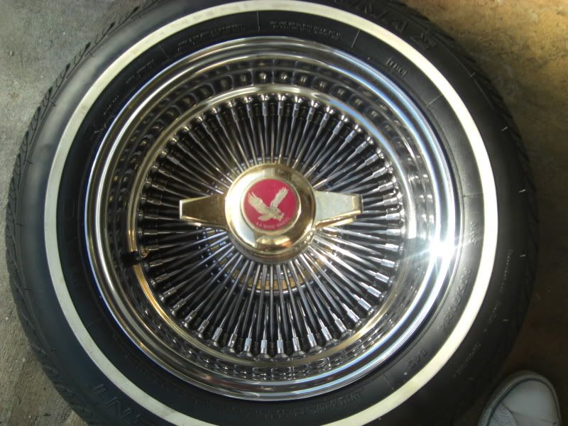 Zenith Rims