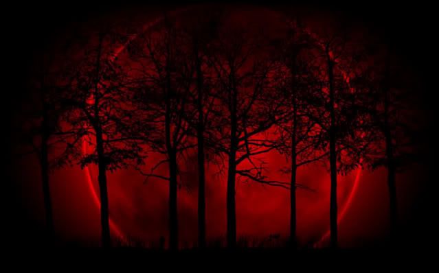 beautiful moon photo: Red Moon Forest RedmoonForest.jpg