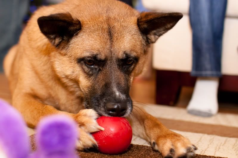 IMAGE: http://i118.photobucket.com/albums/o101/Steed77/Wk5_TeeFee.jpg