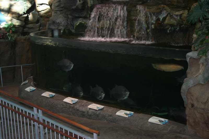 GBaqua007 - My Trip to the Aquarium! (Pic Intense)