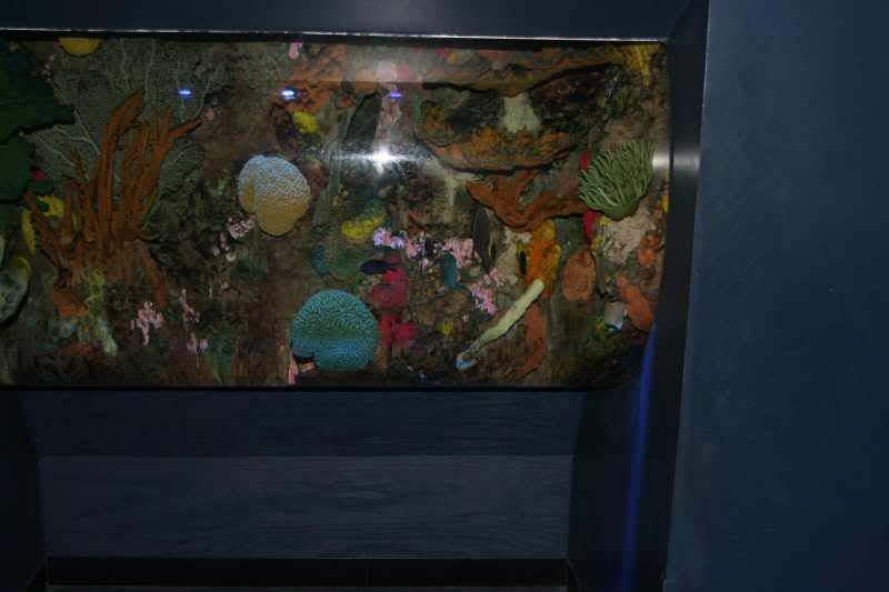 GBaqua019 - My Trip to the Aquarium! (Pic Intense)