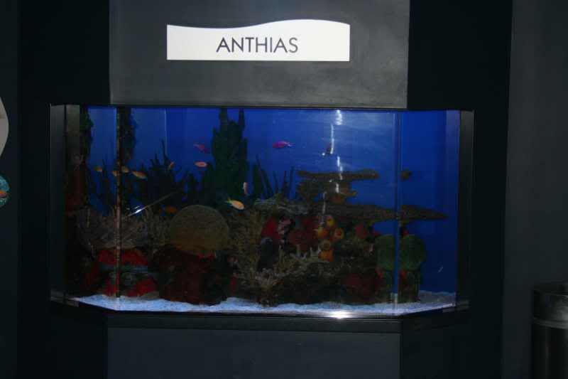 GBaqua035 - My Trip to the Aquarium! (Pic Intense)