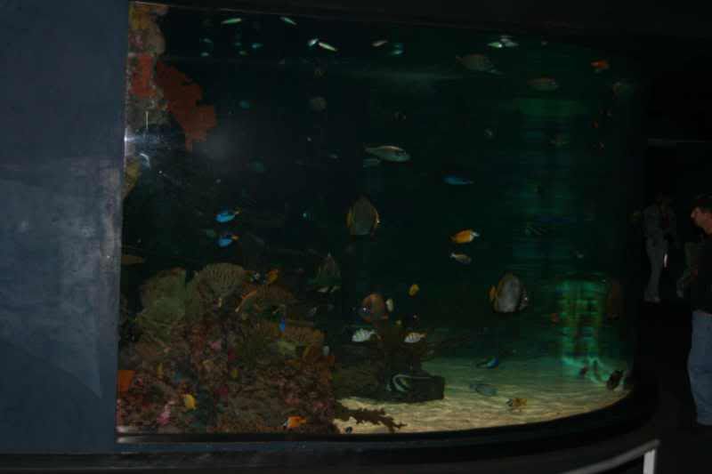 GBaqua039 - My Trip to the Aquarium! (Pic Intense)