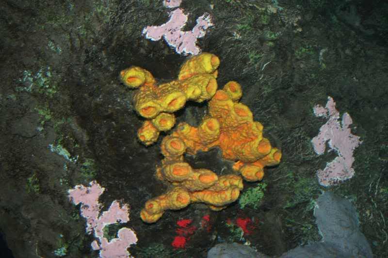 GBaqua069 - My Trip to the Aquarium! (Pic Intense)
