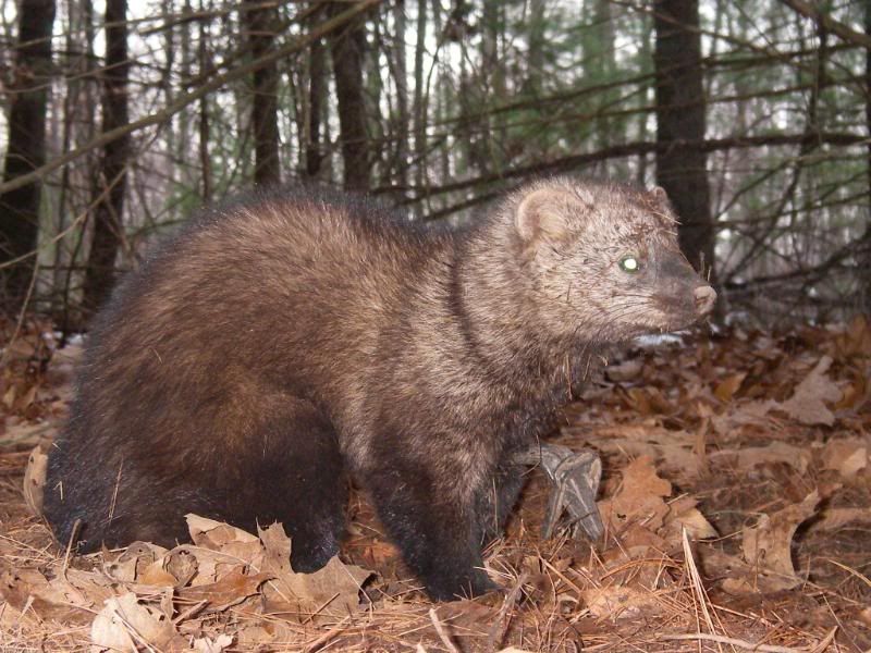 fishers The Outdoor Community