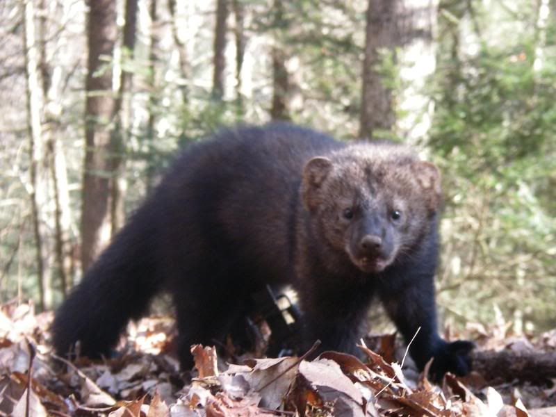 fishers The Outdoor Community