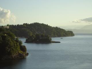 Mouse Island