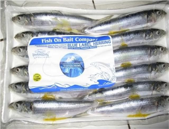 blue-herring-trays.jpg