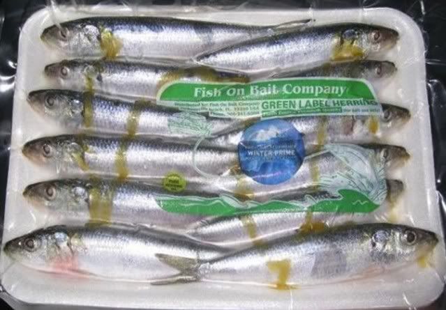 green-herring-trays.jpg