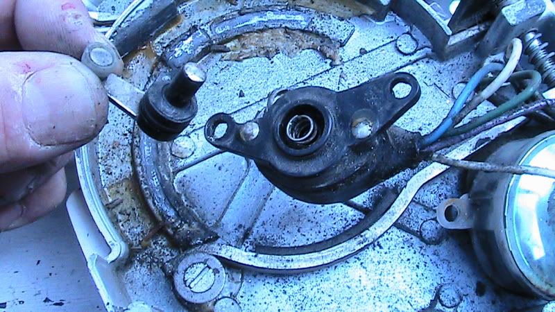IMG_0160.jpg