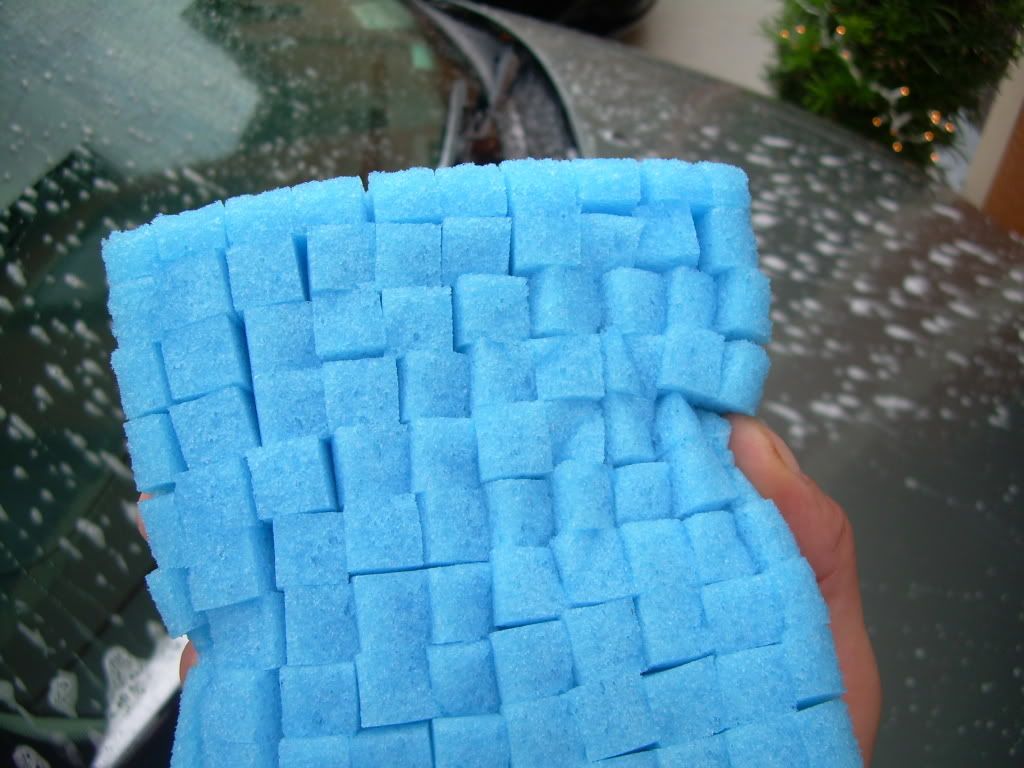 DSCN0040.jpg