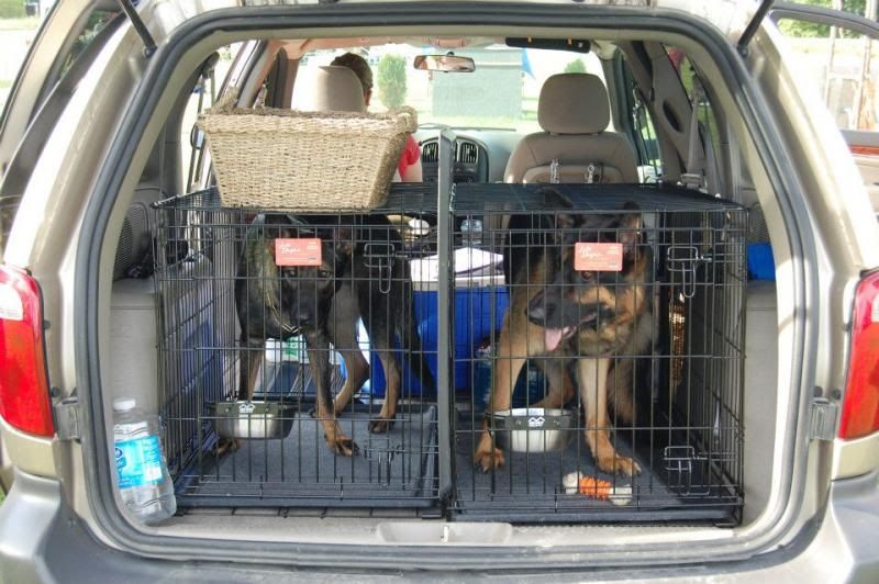 Car crate German Shepherds Forum