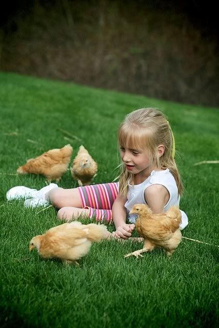 http://i118.photobucket.com/albums/o106/imagineitphotos/IMG_4078.jpg
