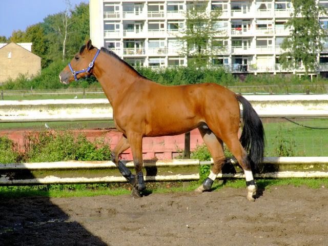 [img width=640 height=480]http://i118.photobucket.com/albums/o108/MariskaR/18-07-0111.jpg[/img]