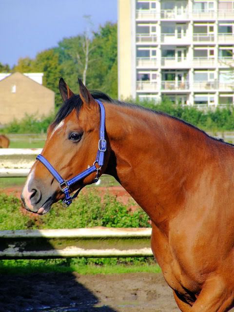 [img width=480 height=640]http://i118.photobucket.com/albums/o108/MariskaR/18-07-0112.jpg[/img]