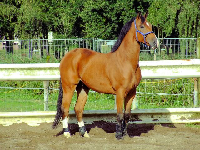 [img width=640 height=480]http://i118.photobucket.com/albums/o108/MariskaR/18-07-0115.jpg[/img]