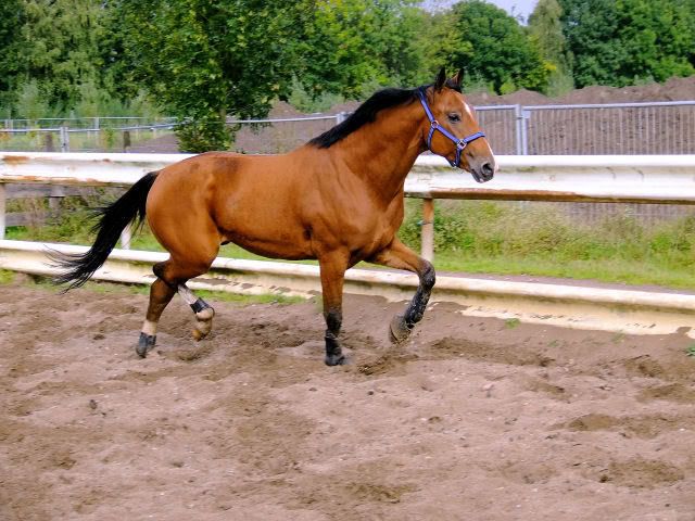 [img width=640 height=480]http://i118.photobucket.com/albums/o108/MariskaR/18-07-0117.jpg[/img]