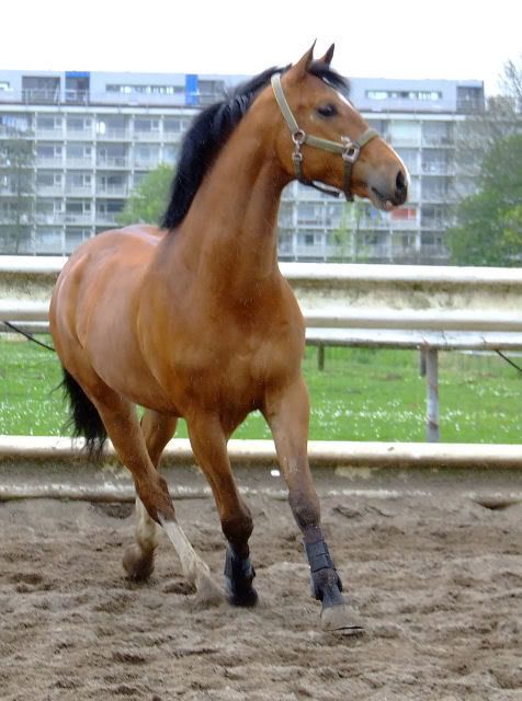 [img width=476 height=640]http://i118.photobucket.com/albums/o108/MariskaR/DSCF5991-1.jpg[/img]