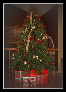 IMAGE: http://i118.photobucket.com/albums/o108/dmmiller_photos/Tree.jpg