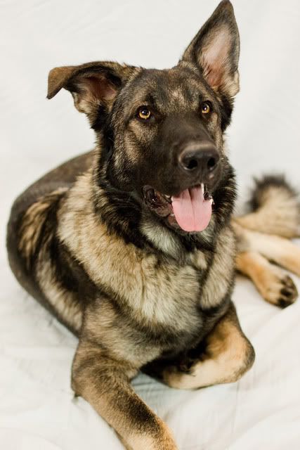 IMAGE: http://i118.photobucket.com/albums/o108/dmmiller_photos/_MG_6991.jpg