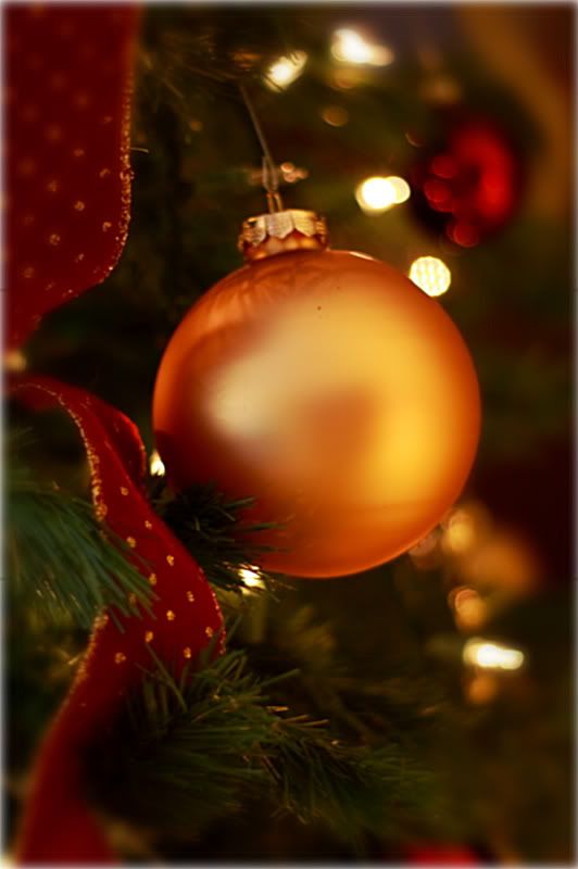 IMAGE: http://i118.photobucket.com/albums/o108/dmmiller_photos/bulb1.jpg