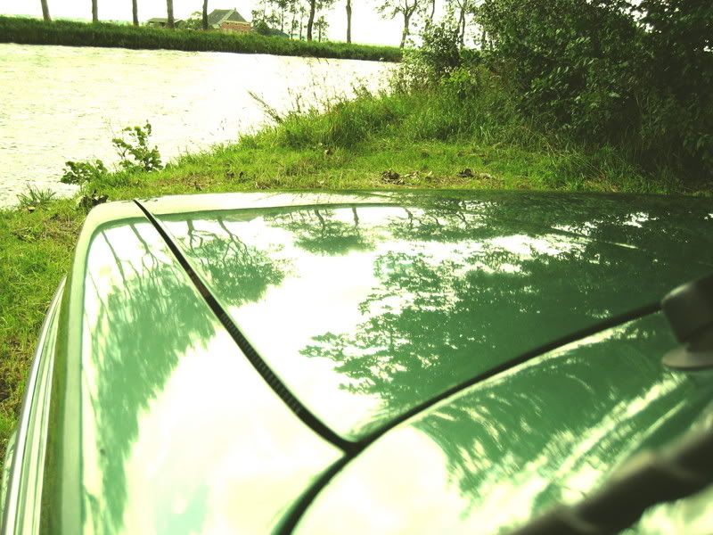 [Afbeelding: IMG_0324T-1.jpg]