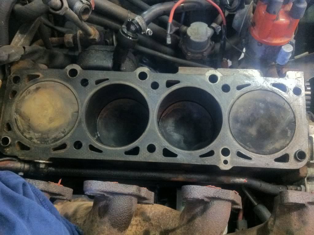 [Afbeelding: Photoapr09161933.jpg]