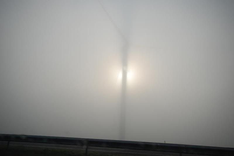 [Afbeelding: 3aba06dd.jpg]