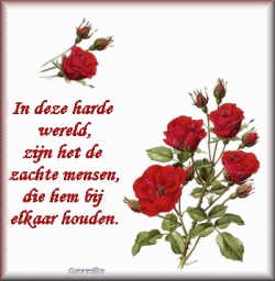 rood_gif.gif picture by lovelylorie23