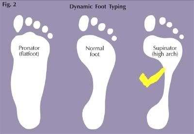 footchart.jpg