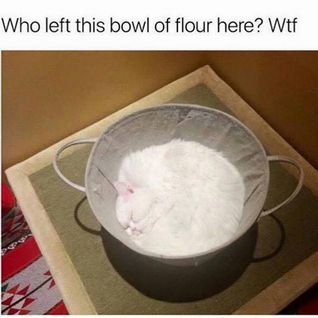  photo flour.jpg