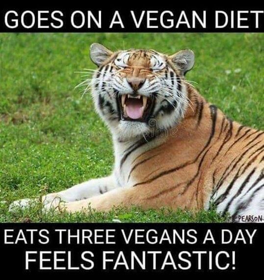  photo vegan diet.jpg