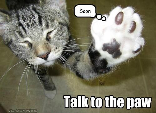  photo talk to the paw.jpg