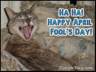  photo april_fools_laughing_cat.gif