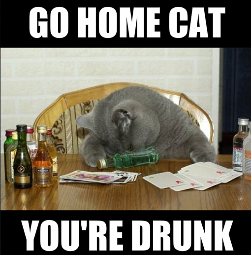  photo drunk cat.png