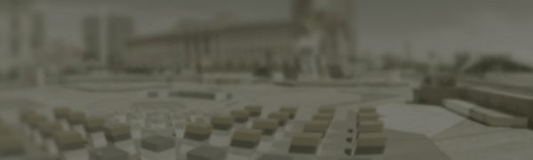 Kediler Nasıl Görür?