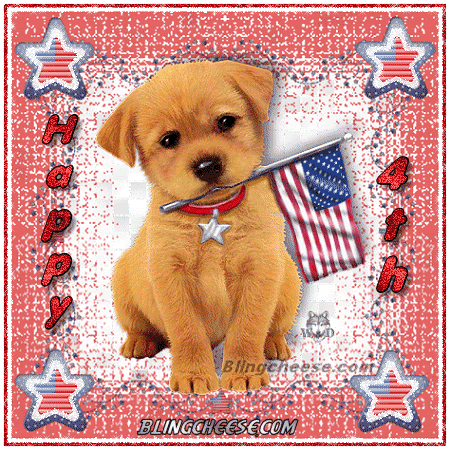 4th_of_July_Puppy.gif