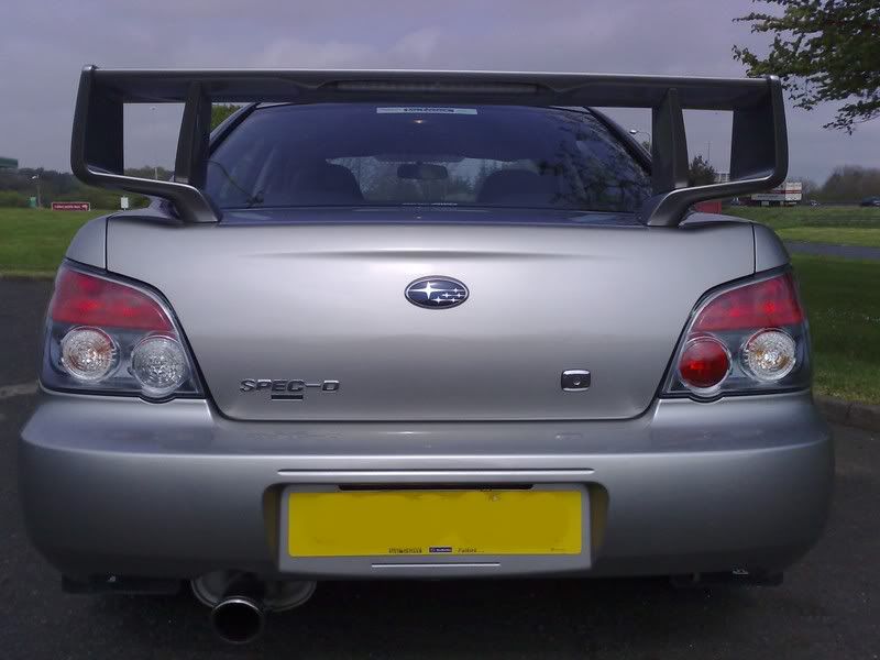 specdbadge.jpg