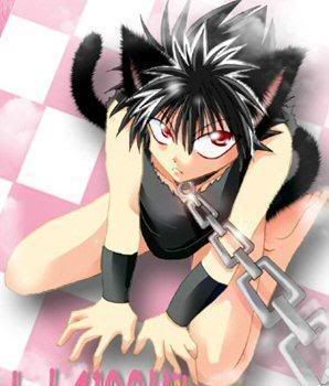 Obrázok “http://i118.photobucket.com/albums/o111/Hikari_Roronoa/Yu%20YU%20HAKUSHO/cat.jpg” sa nedá zobraziť, pretože obsahuje chyby.