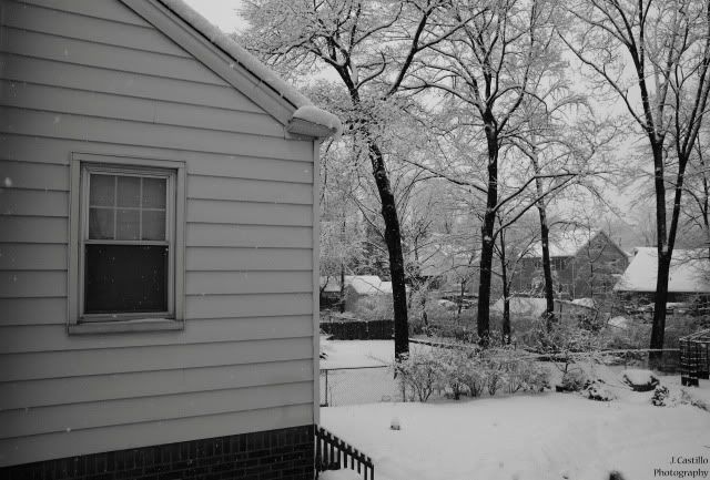 IMAGE: http://i118.photobucket.com/albums/o113/sidewayz21/43.jpg?t=1267142938