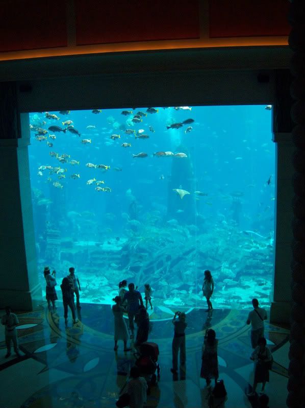 Hotel Aquarius, Dubai