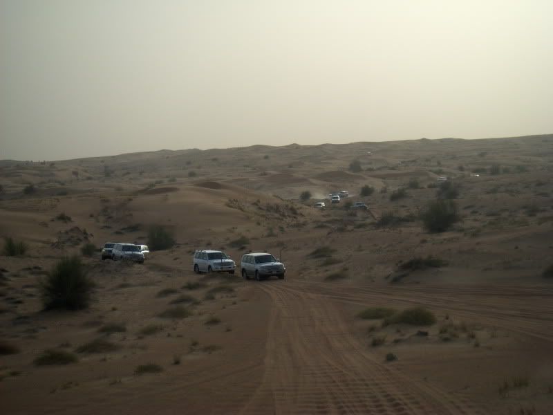 Dubai desert