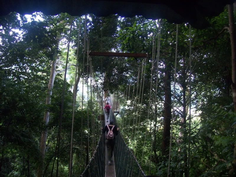 Canopy walk Malaysia