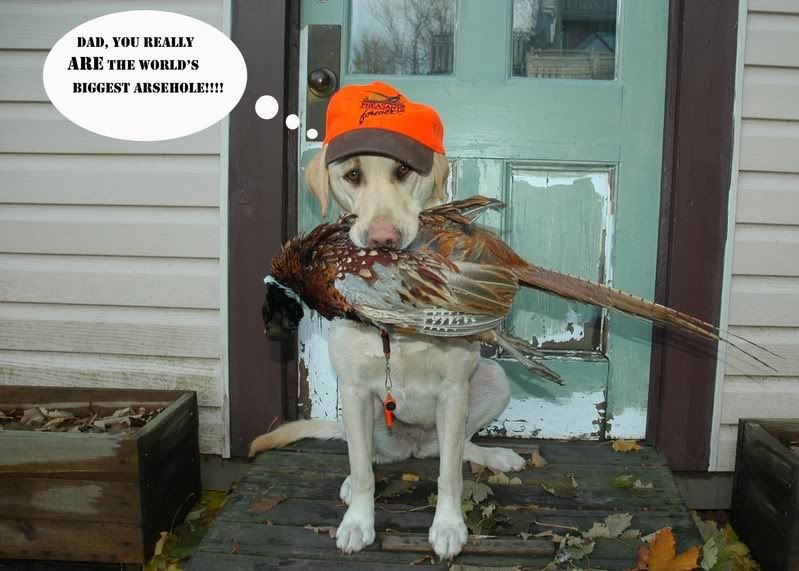 Nov14posed.jpg