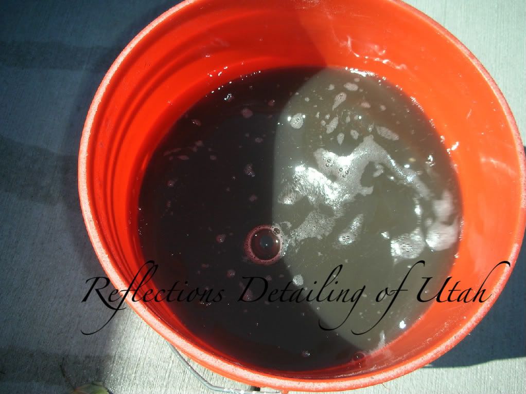DSCN1569.jpg