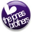 the jonas brothers
