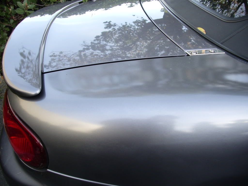 Picture_207.jpg
