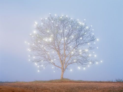 Starlight tree