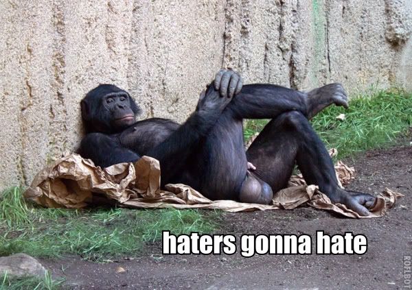 [Image: haters-gonna-hate-monkey-big-balls.jpg]