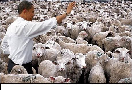 obama-with-sheep.jpg